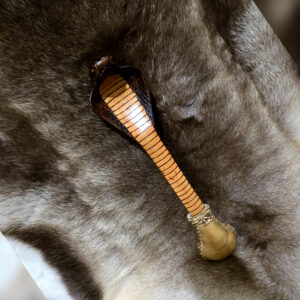 Shamanic rattle Cobra